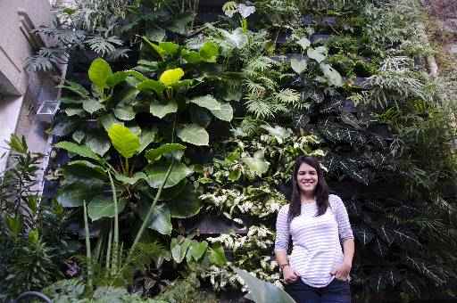 Catarina diz que procura por jardins verticais e telhados verdes cresce no Recife - Catarina diz que procura por jardins verticais e telhados verdes cresce no Recife (CRISTIANE SILVA/ESP.DP/D.A PRESS)